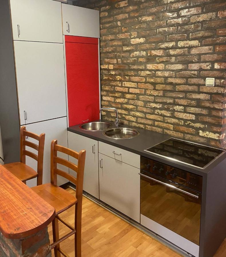 Twin Studio Apartments Zemun Belgrade Exterior photo
