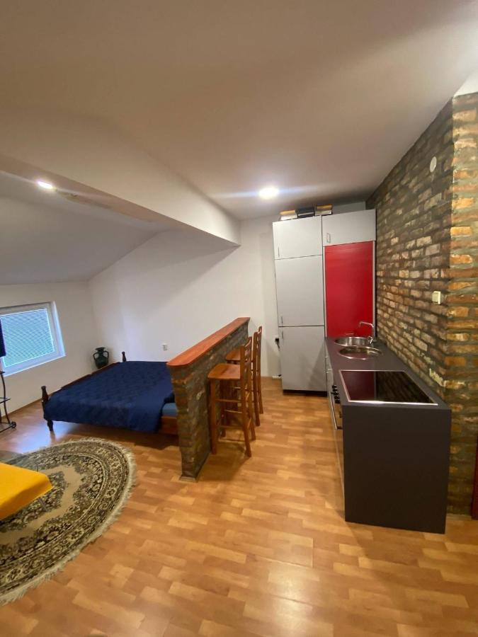 Twin Studio Apartments Zemun Belgrade Exterior photo